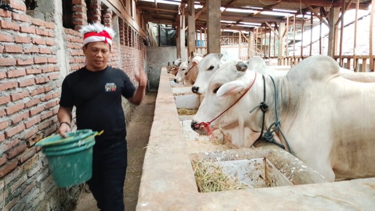 Membangun Kesuksesan dari Peternakan: Kisah Inspiratif Samsul Khaerudin di Brebes