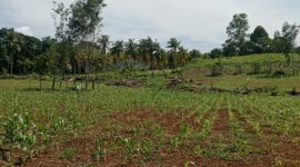 filter: 0; fileterIntensity: 0.0; filterMask: 0; captureOrientation: 90;
brp_mask:0;
brp_del_th:null;
brp_del_sen:null;
delta:null;
module: portrait;hw-remosaic: false;touch: (-1.0, -1.0);sceneMode: 8;cct_value: 0;AI_Scene: (-1, -1);aec_lux: 0.0;aec_lux_index: 0;albedo:  ;confidence:  ;motionLevel: -1;weatherinfo: null;temperature: 47;