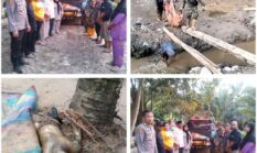 Lima Hari Pasca Banjir Bandang, Tiga Jenazah Ditemukan di Desa Pardamean Muara Batang Toru