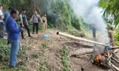 Polres Pasuruan Bakar Arena Perjudian Sabung Ayam di Pandaan