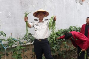 Mendukung ketahanan pangan Nasional