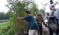 Sambut HUT Kota Tangerang Ke-33, Banksasuci Tanam 3.300 Pohon