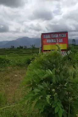 Pemprov Bali Resmi Berlakukan Perda No 4 2026 Tentang Pengendalian Alih Fungsi Lahan