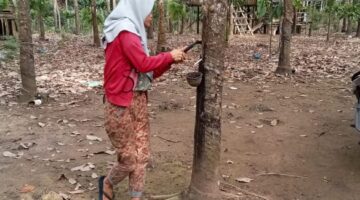 Sejumlah Warga Teluk Kecapi Pertanyakan Penanganan Kasus Dugaan Pemalsuan Tandatangan Penerima BLT Desa Teluk Kecapi