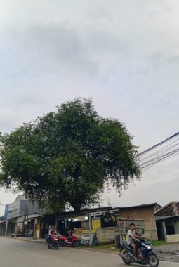 Kepala Pelaksana BPBD Kota Tangerang Himbau Masyarakat Agar Menjaga Stamina Selama Menjalankan Ibadah Puasa