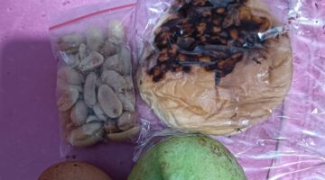 Lumajang VIRAL! Menu MBG di Bulan Suci Ramadhan Menjadi Sorotan Publik