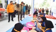 CREATOR: gd-jpeg v1.0 (using IJG JPEG v62), quality = 90?