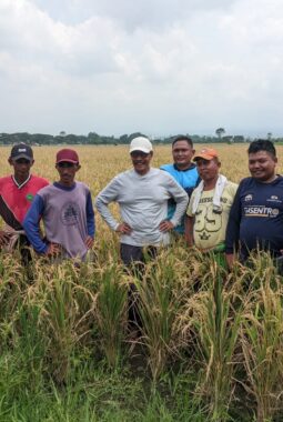 Antisipasi Gagal Panen, Wabub Jember Djoko Susanto Tekankan Pentingnya Asuransi Petani