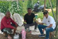 Panen Pertama Menanam Ketimun Lebih Memuaskan, Hasilnya Tidak Diragukan, Ini Kata Eris Kades Carenang Cisoka