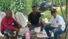 Panen Pertama Menanam Ketimun Lebih Memuaskan, Hasilnya Tidak Diragukan, Ini Kata Eris Kades Carenang Cisoka