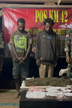 Satgas Yonif 403/WP Gagalkan Penyelundupan 2 Kg Ganja di Perbatasan RI–PNG