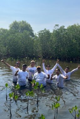 Jaga Green Belt Pesisir Pantai, Aktivis Lingkungan Tanam 5.000 Mangrove