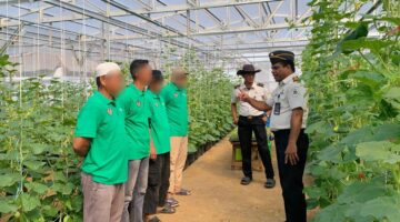Program Pembinaan Berkelanjutan, Rutan Kelas I Palembang Lanjutkan Penanaman Melon Tahap Kedua