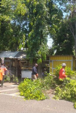 Tiga OPD Bersinergi Pangkas Pohon Penghalang PJU, Antisipasi Maraknya Aksi Begal