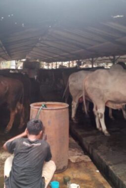 Dugaan Pencemaran Danau Pakulonan, DLHK Akan Verifikasi Ke Lokasi