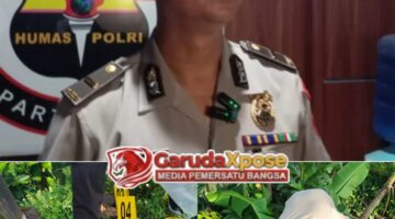 Pedagang Sayur Ditemukan Tewas di Tepi Jalan Raya Jatiroto, Diduga Dibacok Begal