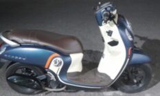 Tim Resmob Polres Lumajang Amankan Terduga Penadah Motor Curian, Scoopy Ditemukan Tersembunyi di Kebun Pisang