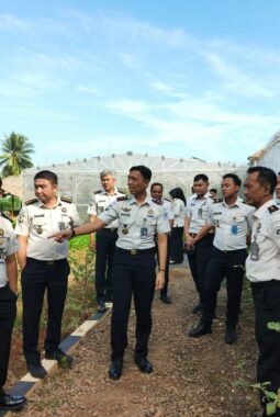 Panen Melon SAE, Rutan Kelas I Palembang Wujudkan Pembinaan Produktif dan Dukung Ketahanan Pangan