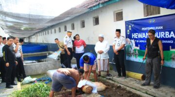 Lapas Banyuwangi Potong 12 Hewan Qurban, Warga Binaan Akan Nyate Bareng