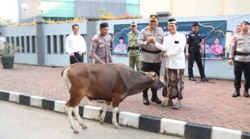 Iduladha Berbagi, Polresta Tangerang Salurkan Puluhan Hewan Kurban ke Pesantren hingga Komunitas Ojol