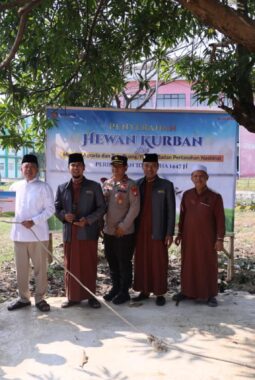Semarak Iduladha 1447 H, Menteri Nusron Salurkan Hewan Kurban ke Pondok Pesantren Attaqwa