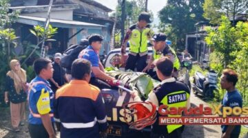 Jerit Histeris Pecah di Rel Dukuh Talok: 5 Remaja Selfie, 3 Tertemper KA Parsel Jakarta–Surabaya, 1 Tewas Terpental 10 Meter
