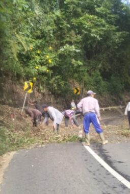 Sambut Yadnya Kasada 2026, Masyarakat Desa Wonokerto Kerja Bakti Bersihkan Jalan Sepanjang Tiga Kilo Meter