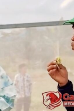 DORONG REGENERASI PETANI, BUPATI PARAMITHA GAUNGKAN PERTANIAN MODERN SEBAGAI PROFESI BERGENGSI