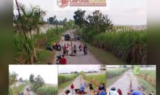 WARGA SENEPOREJO TANAM KEMBALI POHON PISANG DI TENGAH JALAN, SIMBOL KEKECEWAAN KARENA TUNTUTAN TAK KUNJUNG DIPENUHI