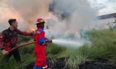 Api Melalap Rumput Kering di TPU Bujuk Macan Laut, Damkar Kota Probolinggo Bergerak Cepat