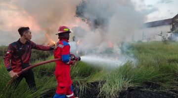 Api Melalap Rumput Kering di TPU Bujuk Macan Laut, Damkar Kota Probolinggo Bergerak Cepat