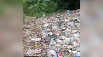 Bakar Sampah Plastik di Lahan Perhutani, Ancam Hutan dan Terancam Sanksi Pidana