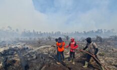 BNPB: Karhutla dan Angin Kencang Masih Ancam Sejumlah Daerah, Warga Diminta Waspada Puncak Musim Kemarau