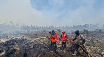 BNPB: Karhutla dan Angin Kencang Masih Ancam Sejumlah Daerah, Warga Diminta Waspada Puncak Musim Kemarau