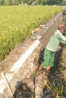 Dugaan Proyek (P3TGAI) di Desa Pagenjahan Asal Jadi, LSM Peraki: Anggaran Besar Tapi Pemasangan Numpang di Tembok Lama