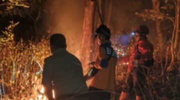 BPBD Probolinggo Padamkan Karhutla di Gunung Gluguh, Lima Hektare Kawasan Hutan Terdampak