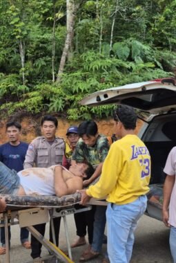 Kecelakaan Tunggal di Sitahuis, L300 Terperosok ke Jurang Sedalam 60 Meter
