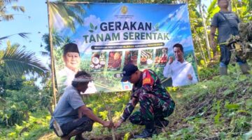 Kementan RI Gaungkan Gerakan Tanam Serentak, Babinsa Karyasari Siap Dampingi Petani Kopi