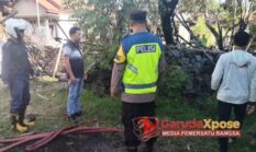 Kandang 3×6 Meter Ludes, 25 Kambing Mati Terbakar di Wanasari Brebes