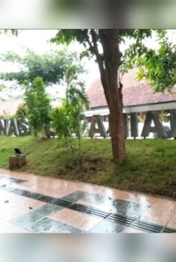 Usai Curhat Soal Hama Tikus ke Menko Pangan, Jogo Tirto di Srono Diduga Diintimidasi Oknum, BARISTAN: Fakta Serangan Tikus Memang Benar