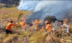Pemerintah Perkuat Operasi Penanganan Kebakaran Bromo, BNPB Siapkan Dukungan Water Bombing dari Udara
