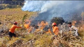 Pemerintah Perkuat Operasi Penanganan Kebakaran Bromo, BNPB Siapkan Dukungan Water Bombing dari Udara