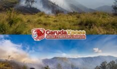 Karhutla TNBTS Ditangani dengan Strategi Darat dan Udara