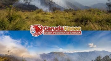 Karhutla TNBTS Ditangani dengan Strategi Darat dan Udara