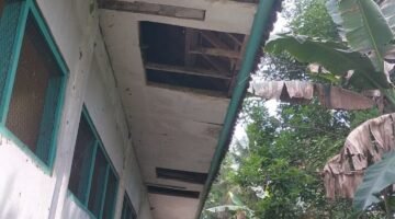 SD NEGERI 4 SEGOBANG DI DESA KAYANGAN DISOROT: ATAP DAN PLAFON JEBOL, ANGGARAN REHABILITASI Rp87 JUTA JADI PERTANYAAN