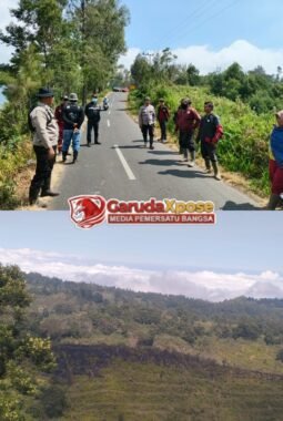 Kebakaran Hutan di Blok Sentong TNBTS Berhasil Dipadamkan, Polisi dan Petugas Gabungan Turun Tangan