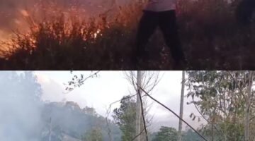 Aksi Heroik AKP Nisin dan Anggota Jinakkan Kebakaran Hutan di Pegunungan
