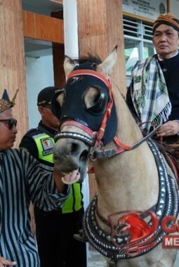 Ribuan Santri dan Warga Tumpah Ruah di Kirab Budaya 30 Tahun Al Hasaniyah Kedawon Brebes