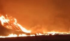 BB TNBTS Hentikan Sementara Kunjungan Wisata Bromo, Pemadaman Karhutla Jadi Prioritas