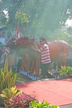 Bukan Sekadar Pawai, Extravaganza Sumbertaman Jadi Panggung Kreativitas Warga Probolinggo
